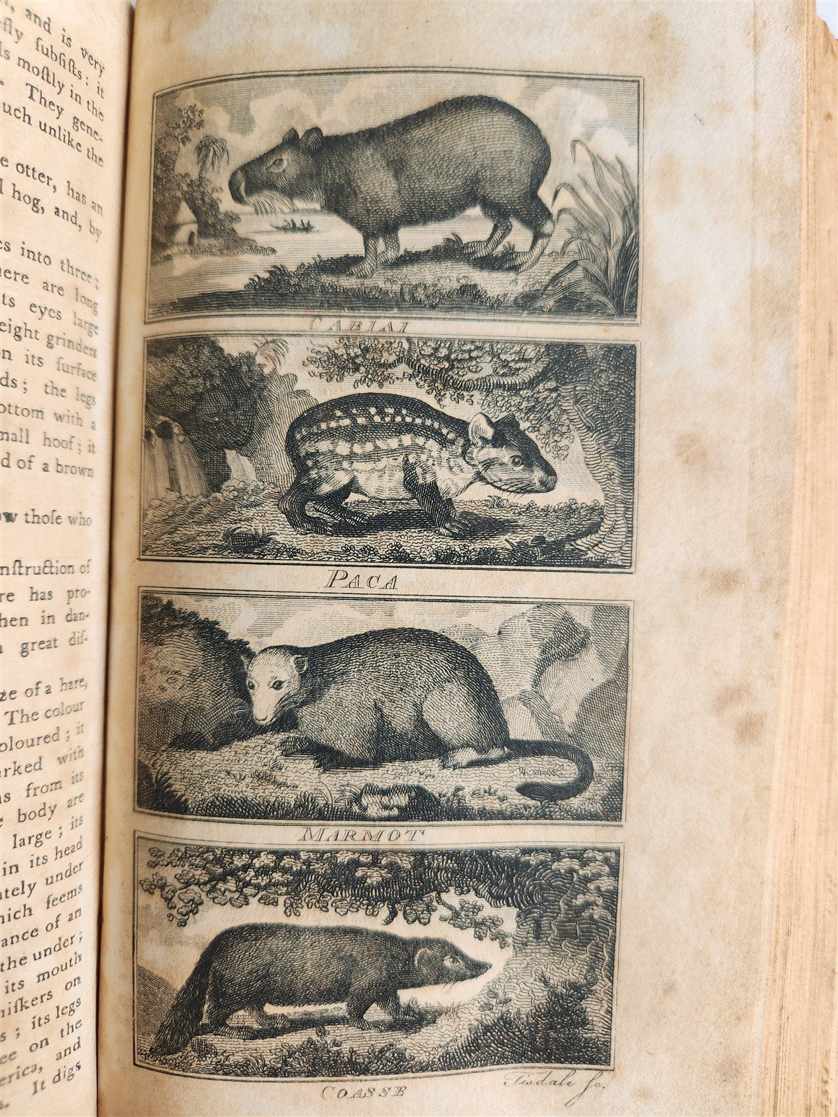 1796 Historical Geographical Commercial Philosophical View of USA 4 VOLS antique