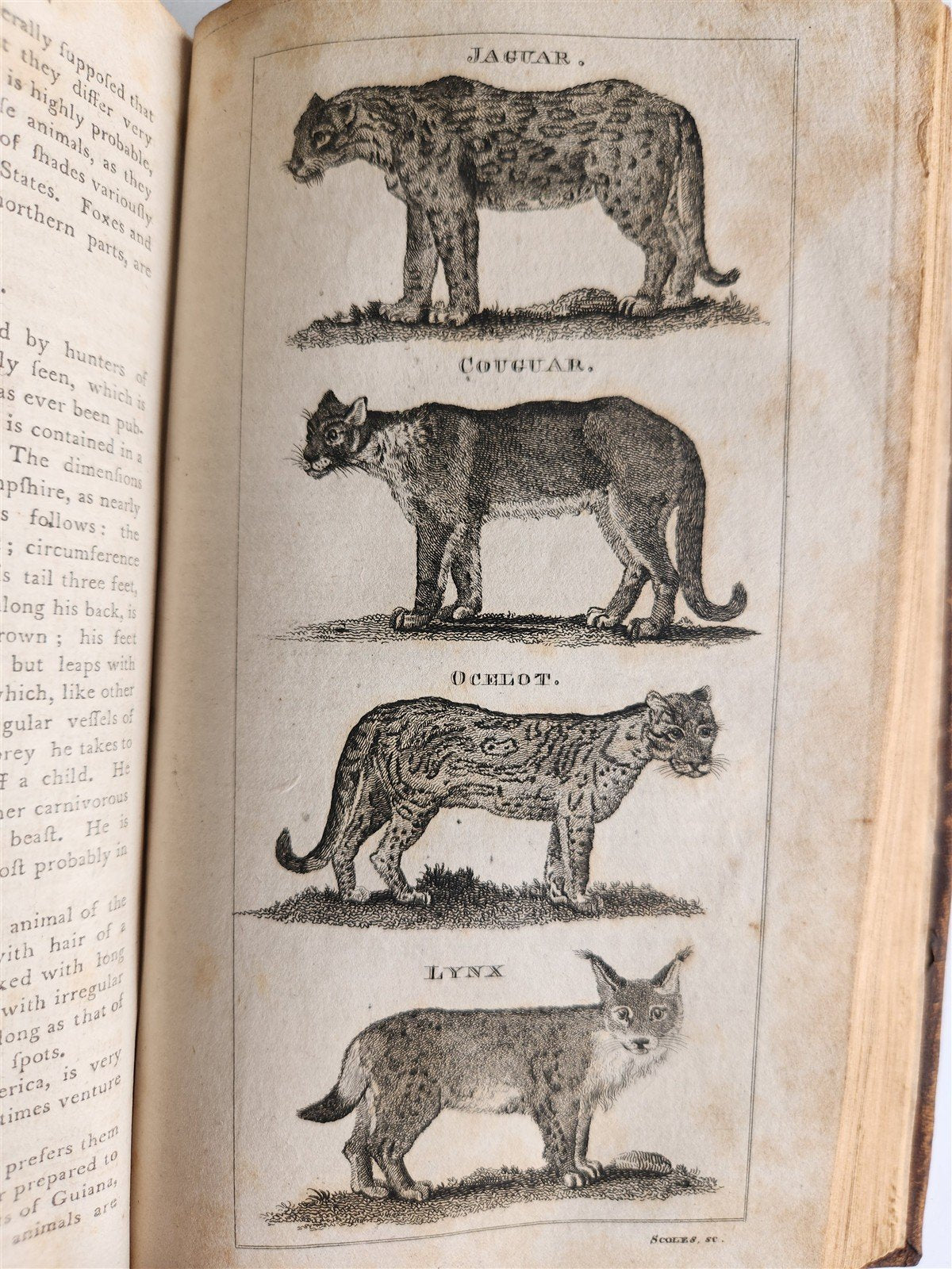 1796 Historical Geographical Commercial Philosophical View of USA 4 VOLS antique