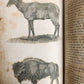 1796 Historical Geographical Commercial Philosophical View of USA 4 VOLS antique