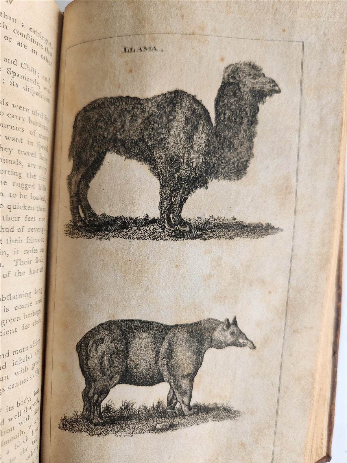 1796 Historical Geographical Commercial Philosophical View of USA 4 VOLS antique