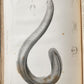 1855 South Hemisphere US Naval Astronomical Expedition ANTIQUE illustrated 2 VOL