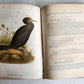 1855 South Hemisphere US Naval Astronomical Expedition ANTIQUE illustrated 2 VOL