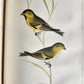 1855 South Hemisphere US Naval Astronomical Expedition ANTIQUE illustrated 2 VOL