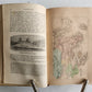 1876 HISTORY of GREECE antique VELLUM BOUND illustrated HISTOIRE CRECQUE