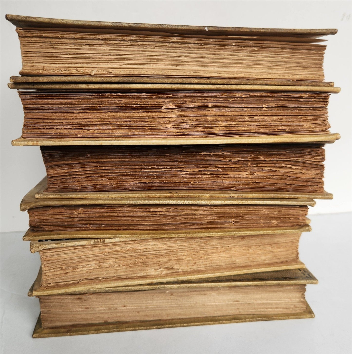 LOT OF 6 ANTIQUE 1890s VELLUM BOUND BOOKS 19th CENTURY decorative