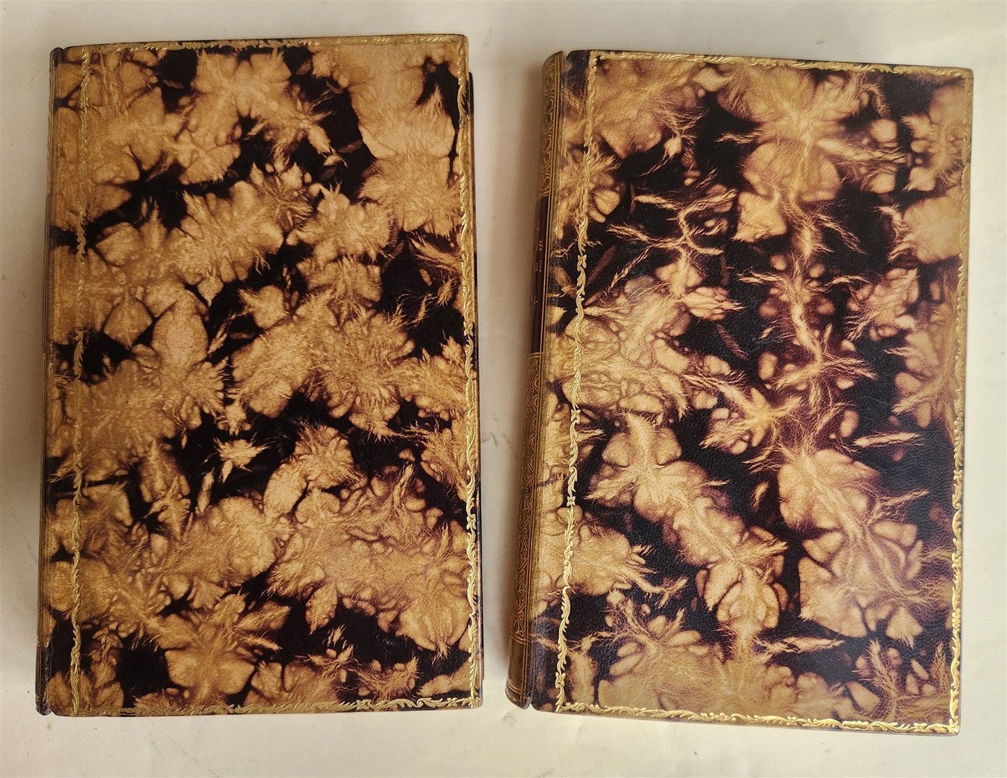 1855 WORKS by Heinrich Koenig antique 2 VOLUMES w/ DECORATIVE BINDINGS in German
