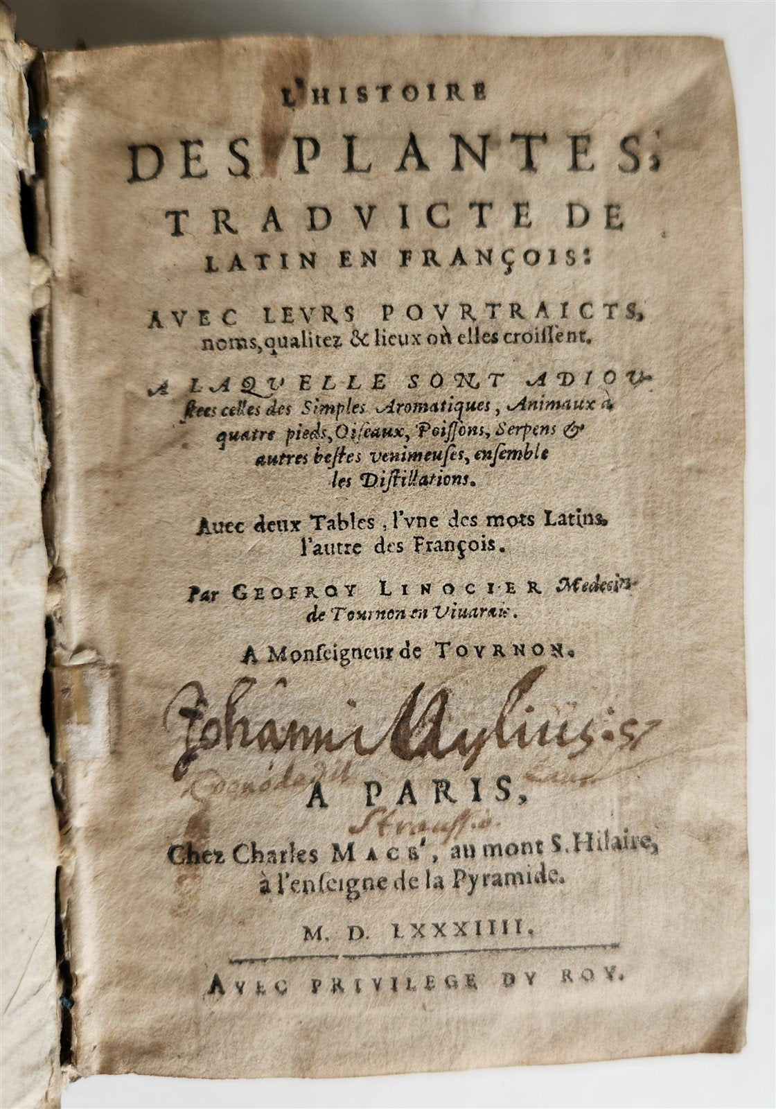 1584 ILLUSTRATED HISTORY of PLANTS & ANIMALS by Linocier antique VELLUM BOUND