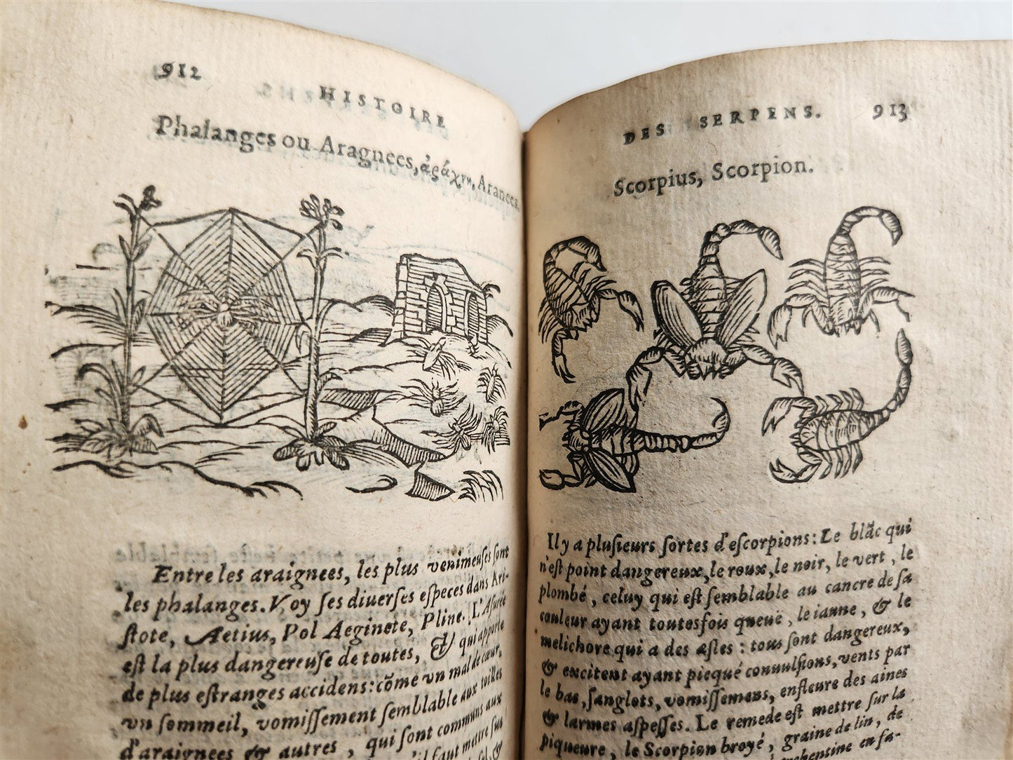 1584 ILLUSTRATED HISTORY of PLANTS & ANIMALS by Linocier antique VELLUM BOUND