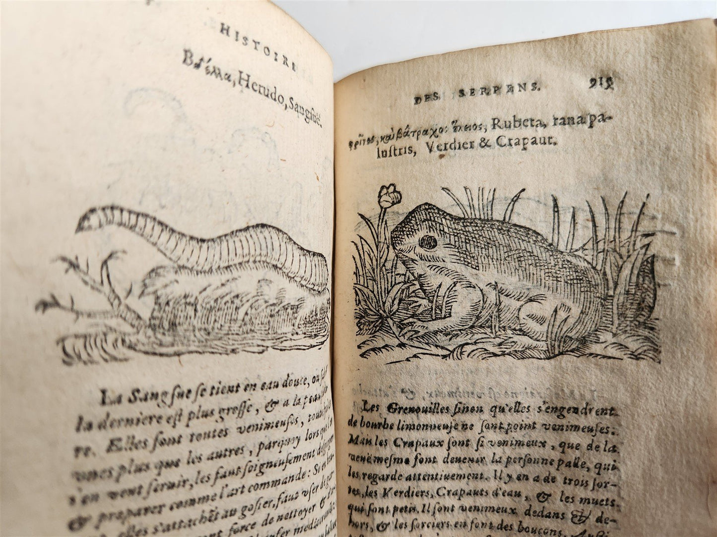 1584 ILLUSTRATED HISTORY of PLANTS & ANIMALS by Linocier antique VELLUM BOUND
