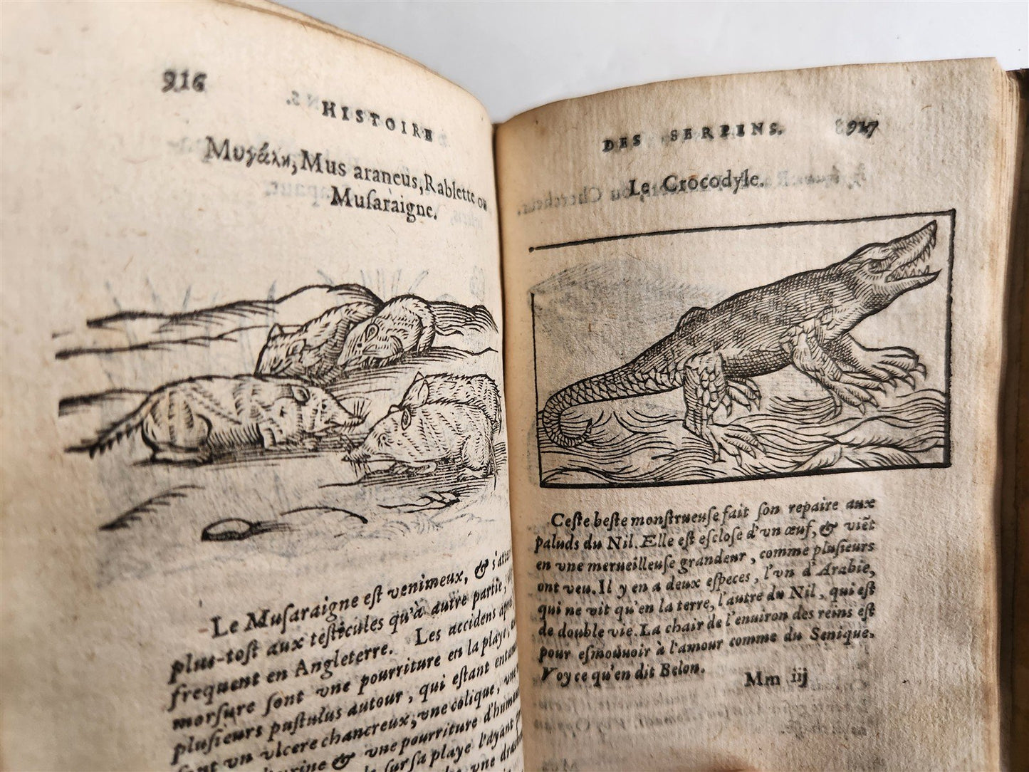 1584 ILLUSTRATED HISTORY of PLANTS & ANIMALS by Linocier antique VELLUM BOUND