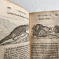 1584 ILLUSTRATED HISTORY of PLANTS & ANIMALS by Linocier antique VELLUM BOUND