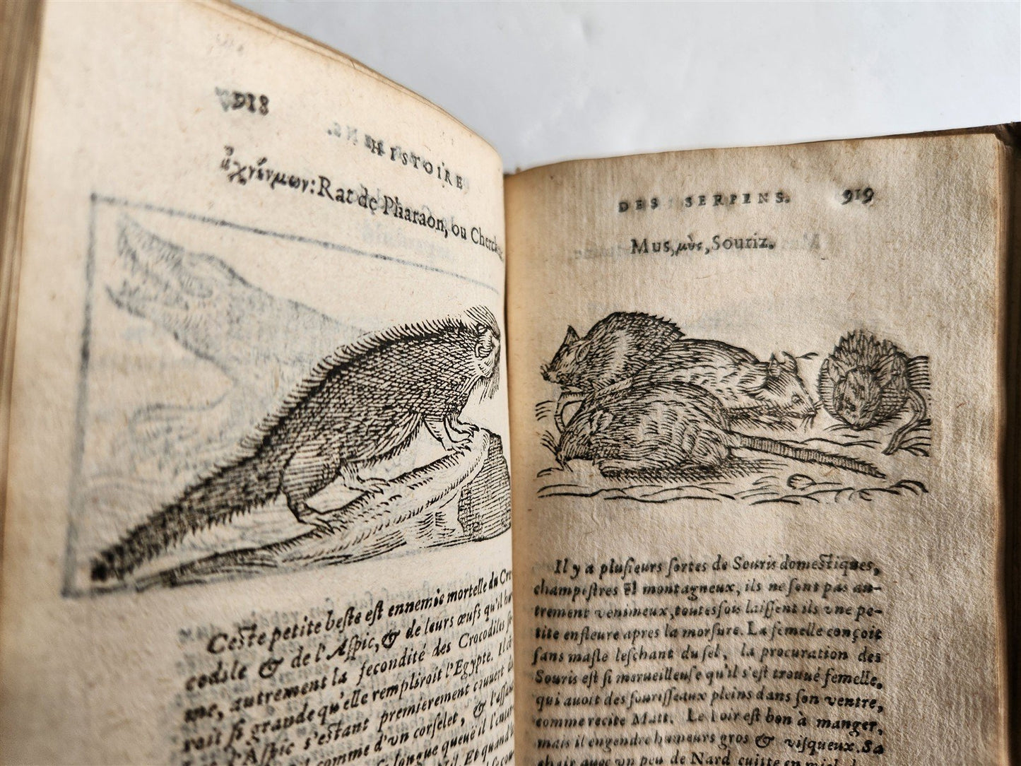 1584 ILLUSTRATED HISTORY of PLANTS & ANIMALS by Linocier antique VELLUM BOUND