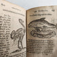 1584 ILLUSTRATED HISTORY of PLANTS & ANIMALS by Linocier antique VELLUM BOUND
