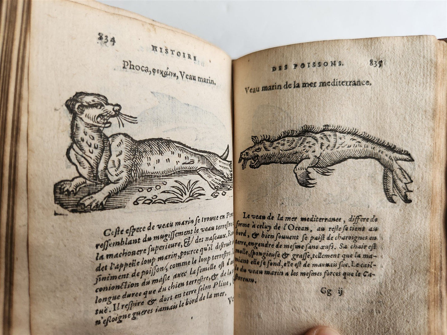 1584 ILLUSTRATED HISTORY of PLANTS & ANIMALS by Linocier antique VELLUM BOUND