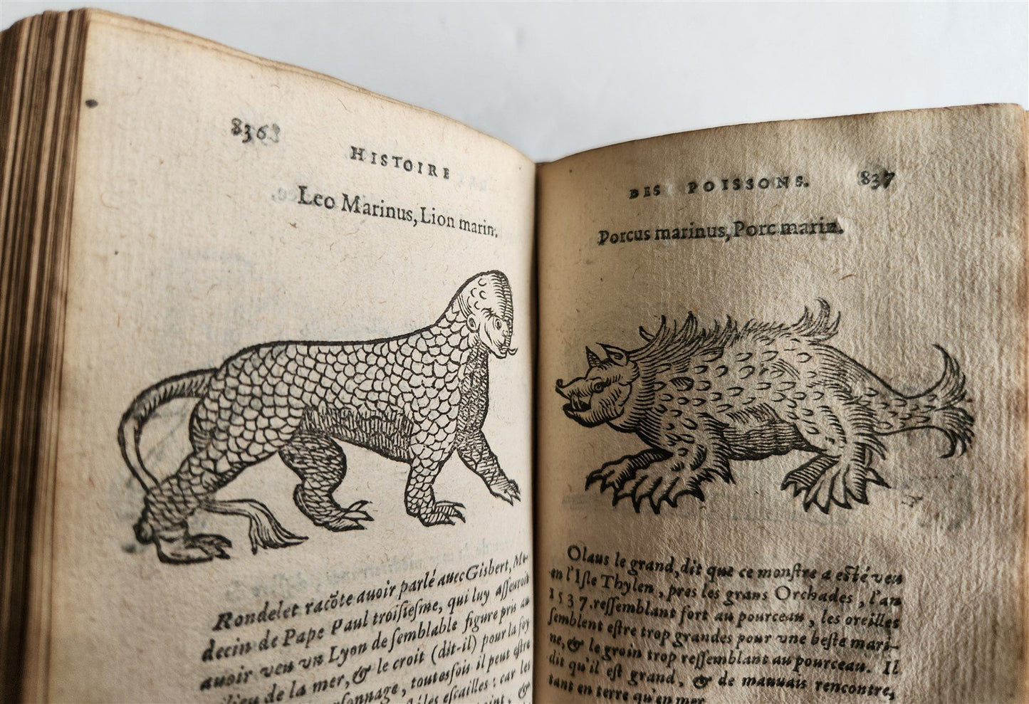 1584 ILLUSTRATED HISTORY of PLANTS & ANIMALS by Linocier antique VELLUM BOUND