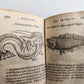 1584 ILLUSTRATED HISTORY of PLANTS & ANIMALS by Linocier antique VELLUM BOUND