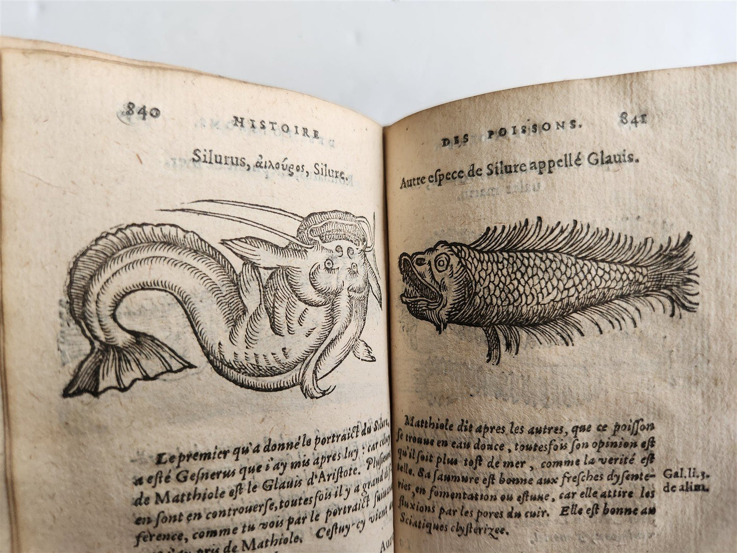 1584 ILLUSTRATED HISTORY of PLANTS & ANIMALS by Linocier antique VELLUM BOUND