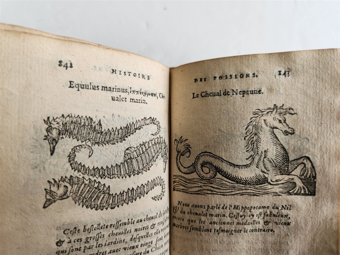 1584 ILLUSTRATED HISTORY of PLANTS & ANIMALS by Linocier antique VELLUM BOUND