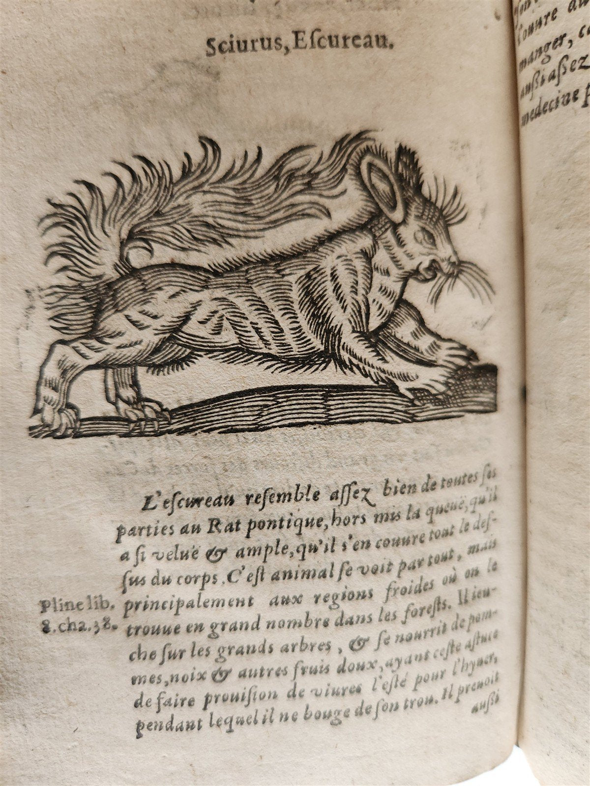1584 ILLUSTRATED HISTORY of PLANTS & ANIMALS by Linocier antique VELLUM BOUND