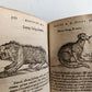 1584 ILLUSTRATED HISTORY of PLANTS & ANIMALS by Linocier antique VELLUM BOUND