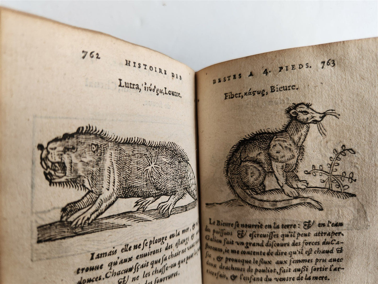 1584 ILLUSTRATED HISTORY of PLANTS & ANIMALS by Linocier antique VELLUM BOUND