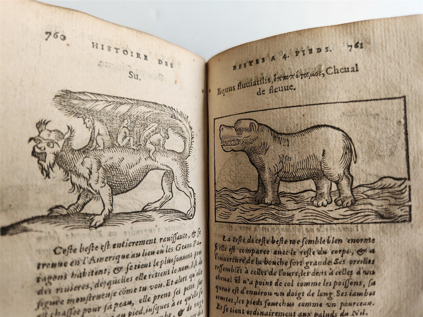 1584 ILLUSTRATED HISTORY of PLANTS & ANIMALS by Linocier antique VELLUM BOUND