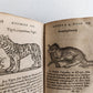 1584 ILLUSTRATED HISTORY of PLANTS & ANIMALS by Linocier antique VELLUM BOUND