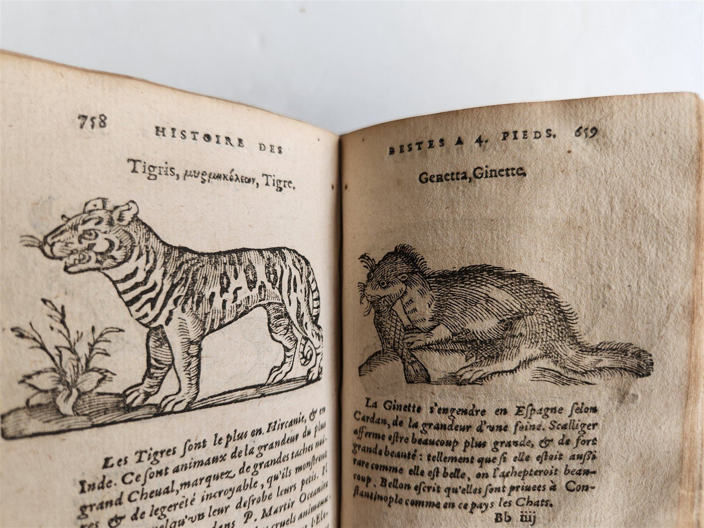 1584 ILLUSTRATED HISTORY of PLANTS & ANIMALS by Linocier antique VELLUM BOUND