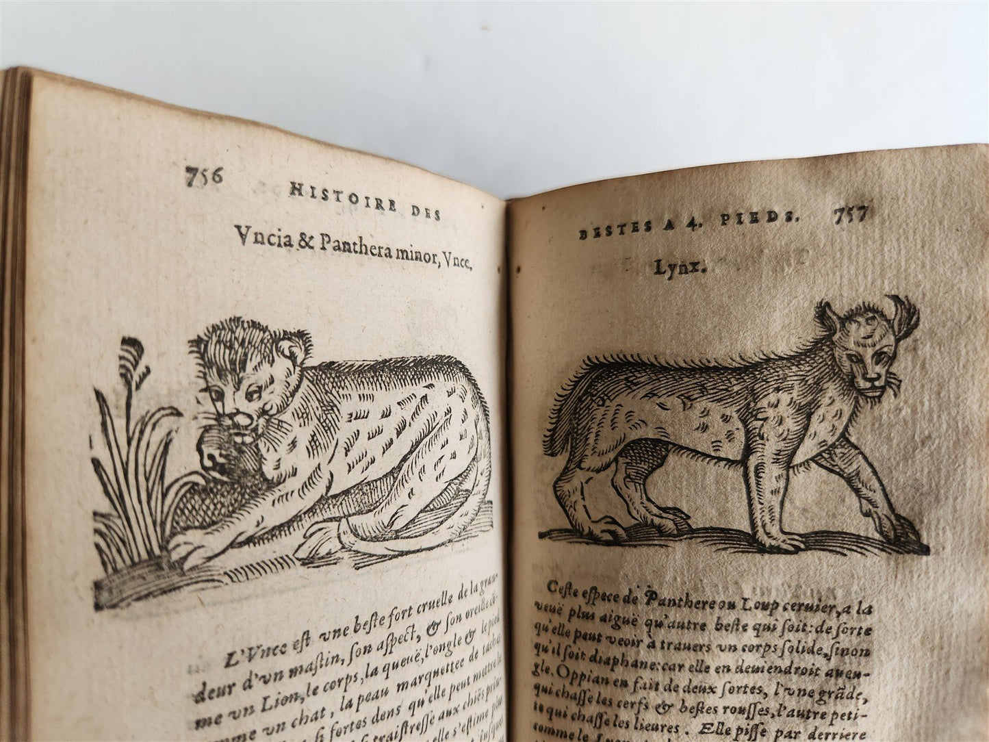 1584 ILLUSTRATED HISTORY of PLANTS & ANIMALS by Linocier antique VELLUM BOUND