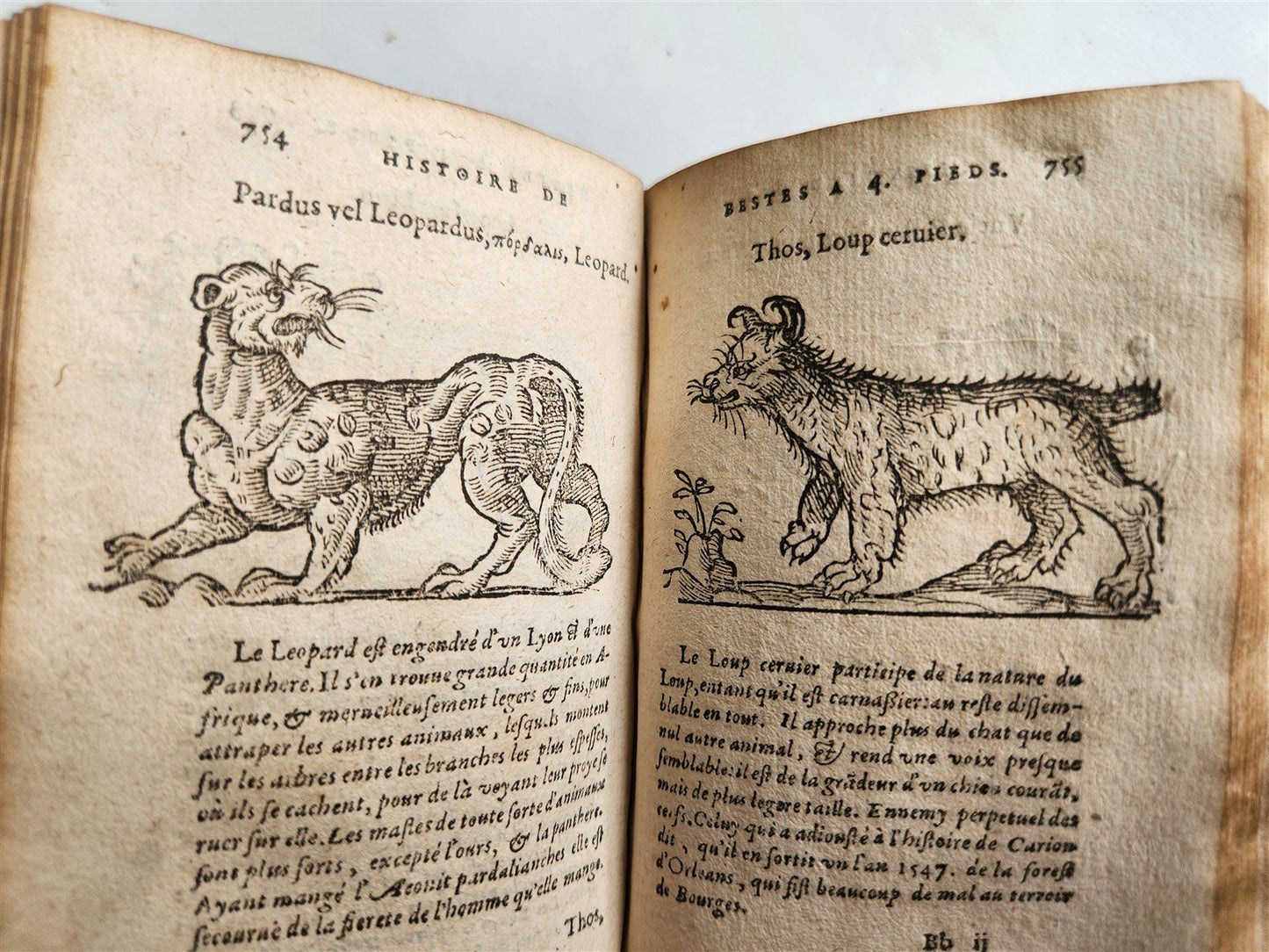 1584 ILLUSTRATED HISTORY of PLANTS & ANIMALS by Linocier antique VELLUM BOUND