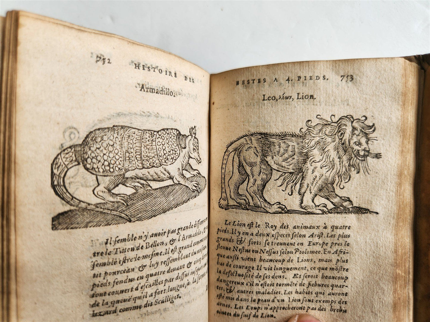 1584 ILLUSTRATED HISTORY of PLANTS & ANIMALS by Linocier antique VELLUM BOUND