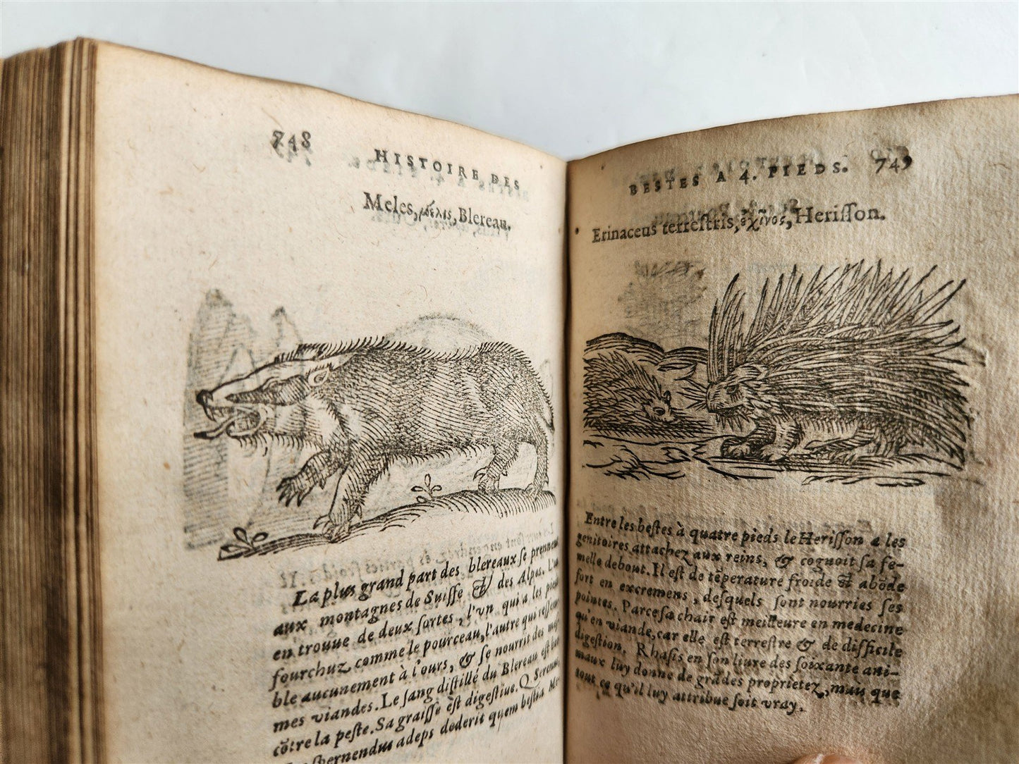 1584 ILLUSTRATED HISTORY of PLANTS & ANIMALS by Linocier antique VELLUM BOUND