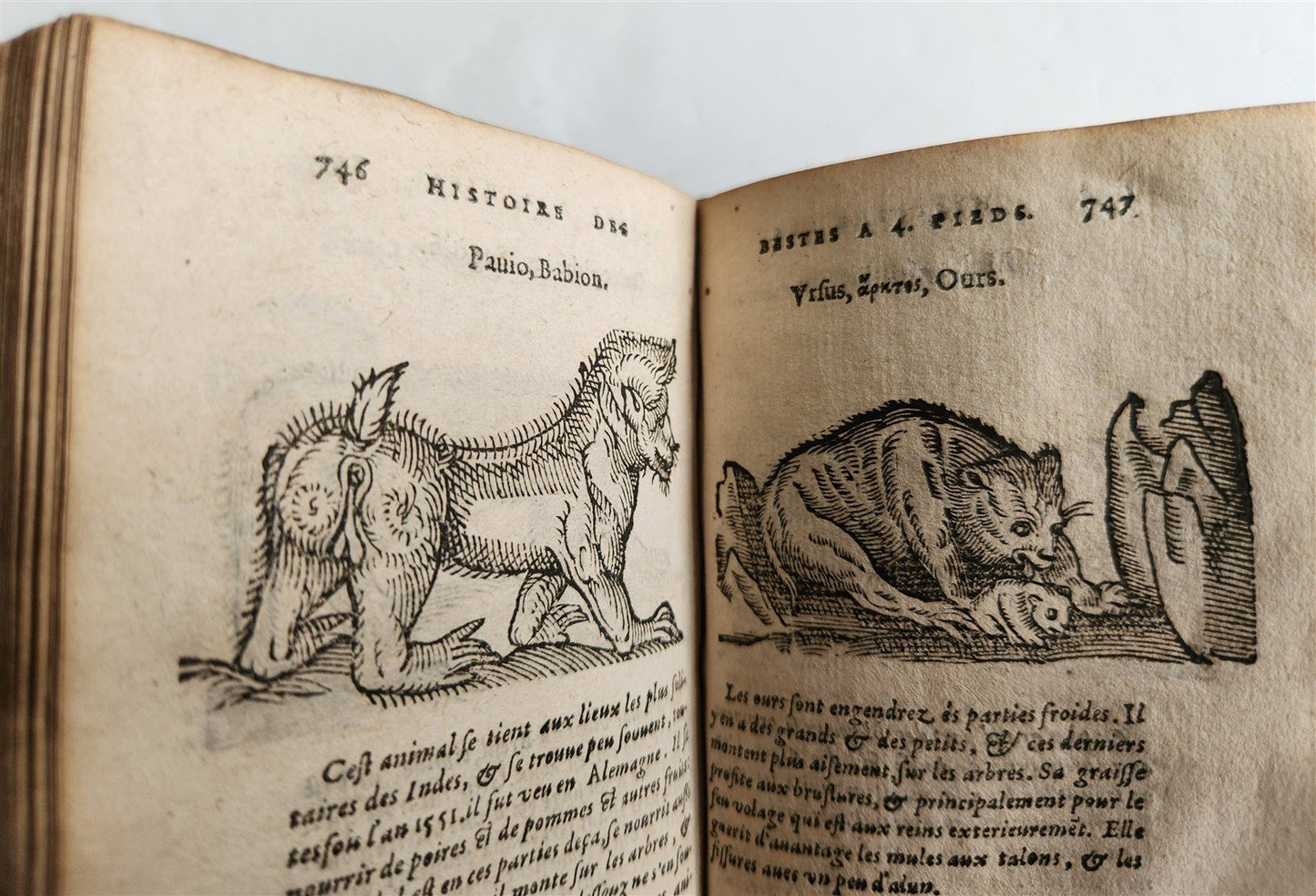1584 ILLUSTRATED HISTORY of PLANTS & ANIMALS by Linocier antique VELLUM BOUND