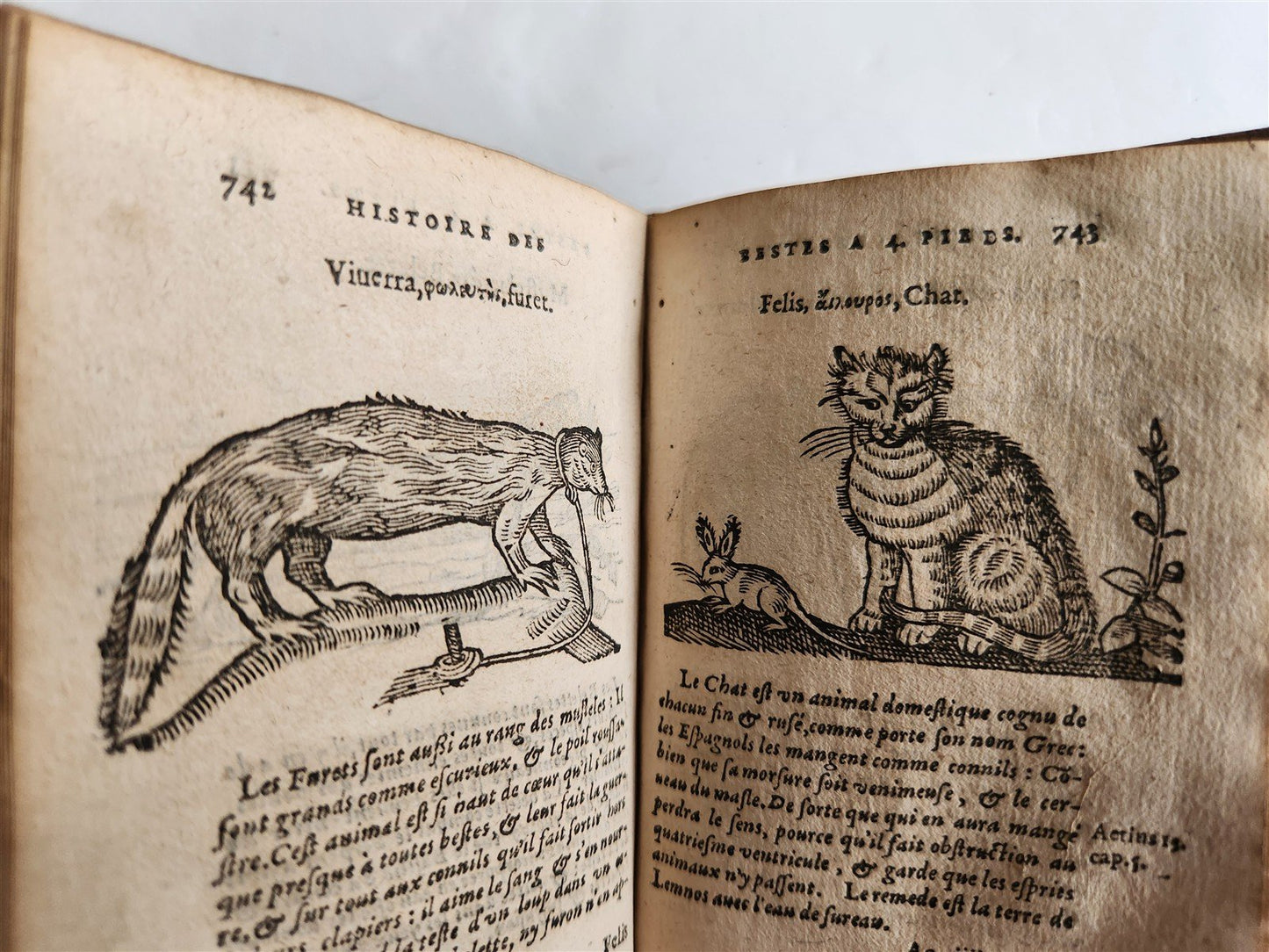 1584 ILLUSTRATED HISTORY of PLANTS & ANIMALS by Linocier antique VELLUM BOUND