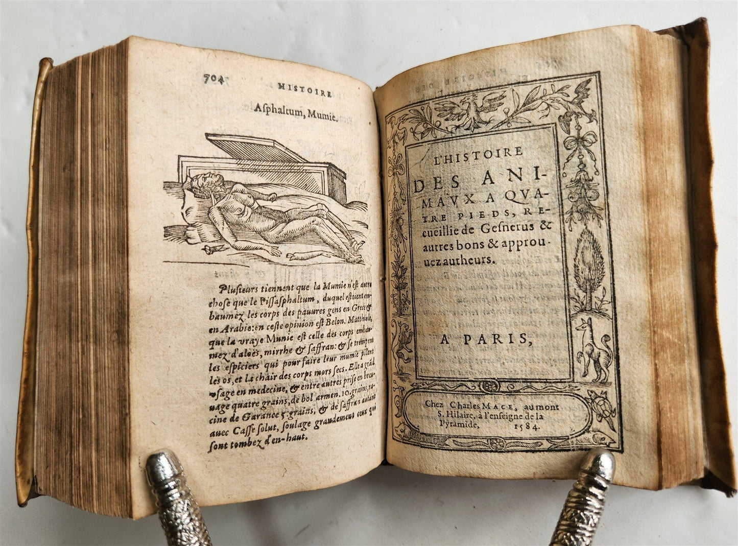 1584 ILLUSTRATED HISTORY of PLANTS & ANIMALS by Linocier antique VELLUM BOUND