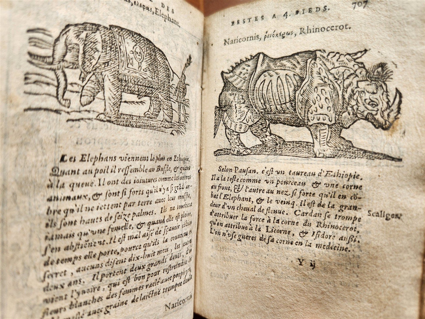 1584 ILLUSTRATED HISTORY of PLANTS & ANIMALS by Linocier antique VELLUM BOUND
