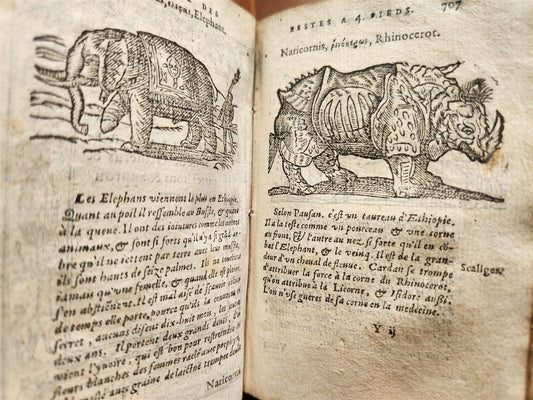 1584 ILLUSTRATED HISTORY of PLANTS & ANIMALS by Linocier antique VELLUM BOUND