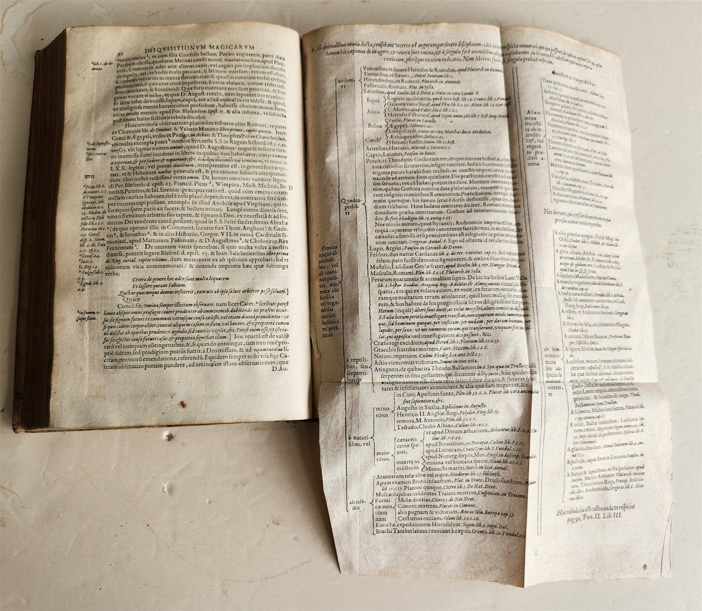1603 Disquisitionum magicarum by Martin DEL RIO antique MAGIC TREATISE FOLIO