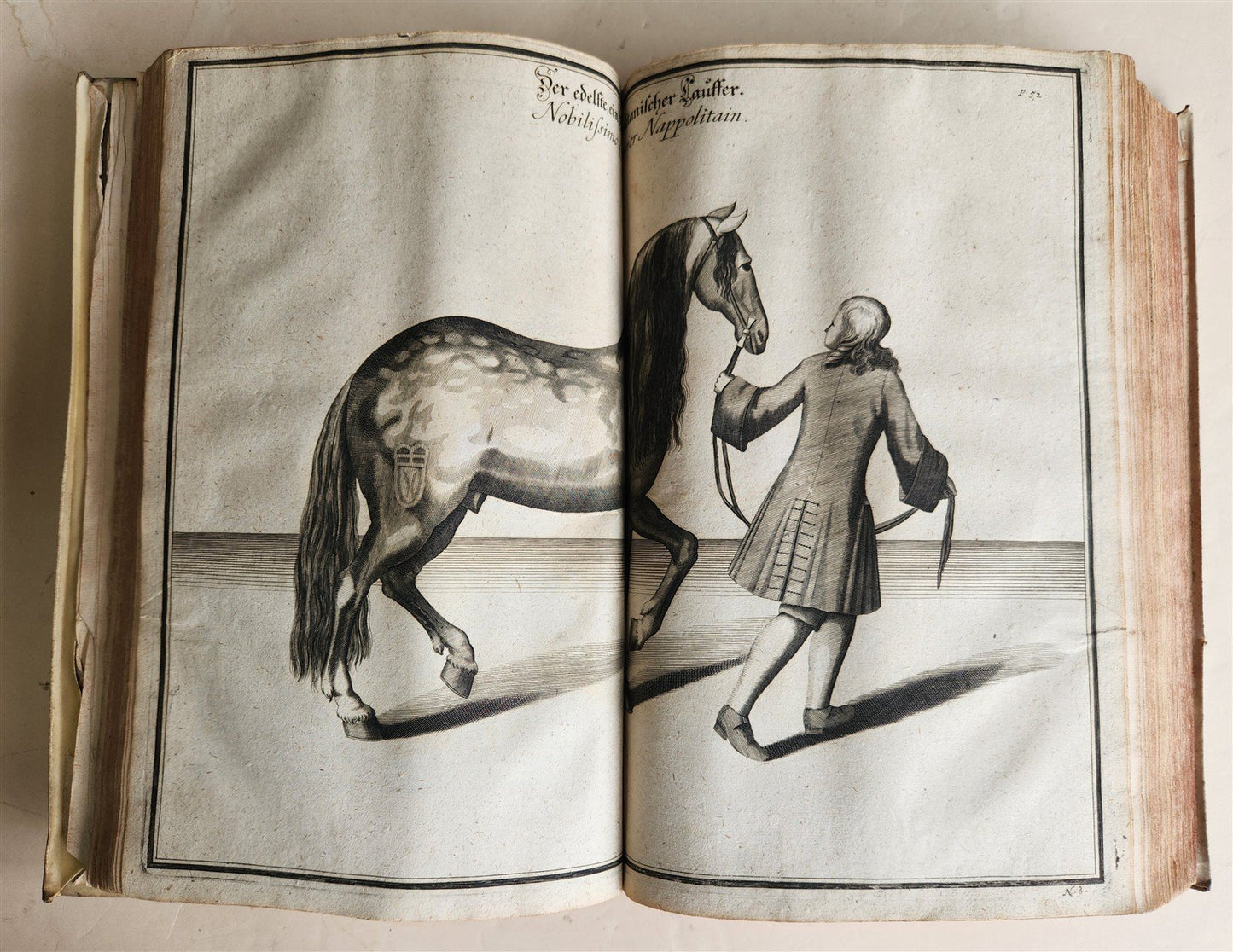 1700 HORSE BOOK FULLY ILLUSTRATED antique RIDING SCHOOL FOLIO