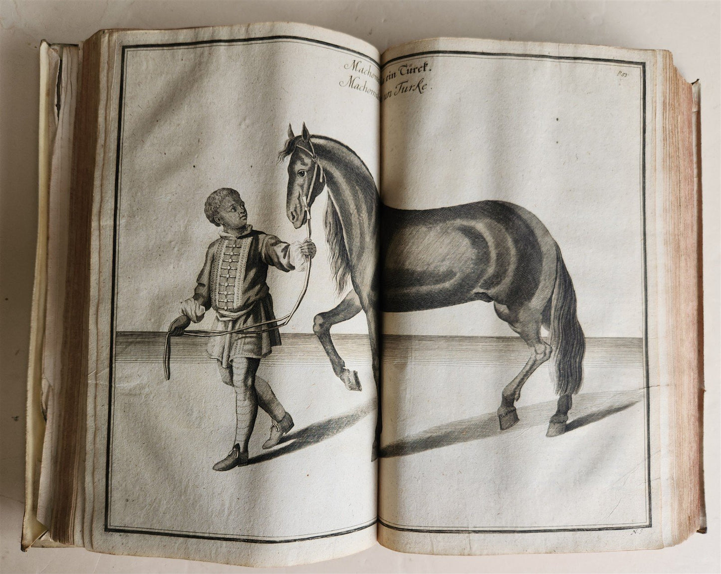 1700 HORSE BOOK FULLY ILLUSTRATED antique RIDING SCHOOL FOLIO