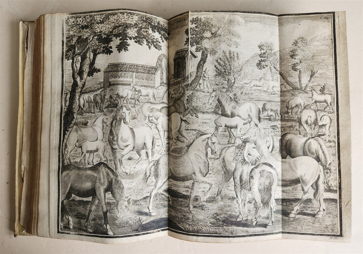 1700 HORSE BOOK FULLY ILLUSTRATED antique RIDING SCHOOL FOLIO