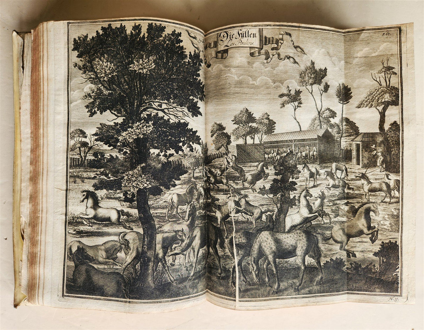 1700 HORSE BOOK FULLY ILLUSTRATED antique RIDING SCHOOL FOLIO