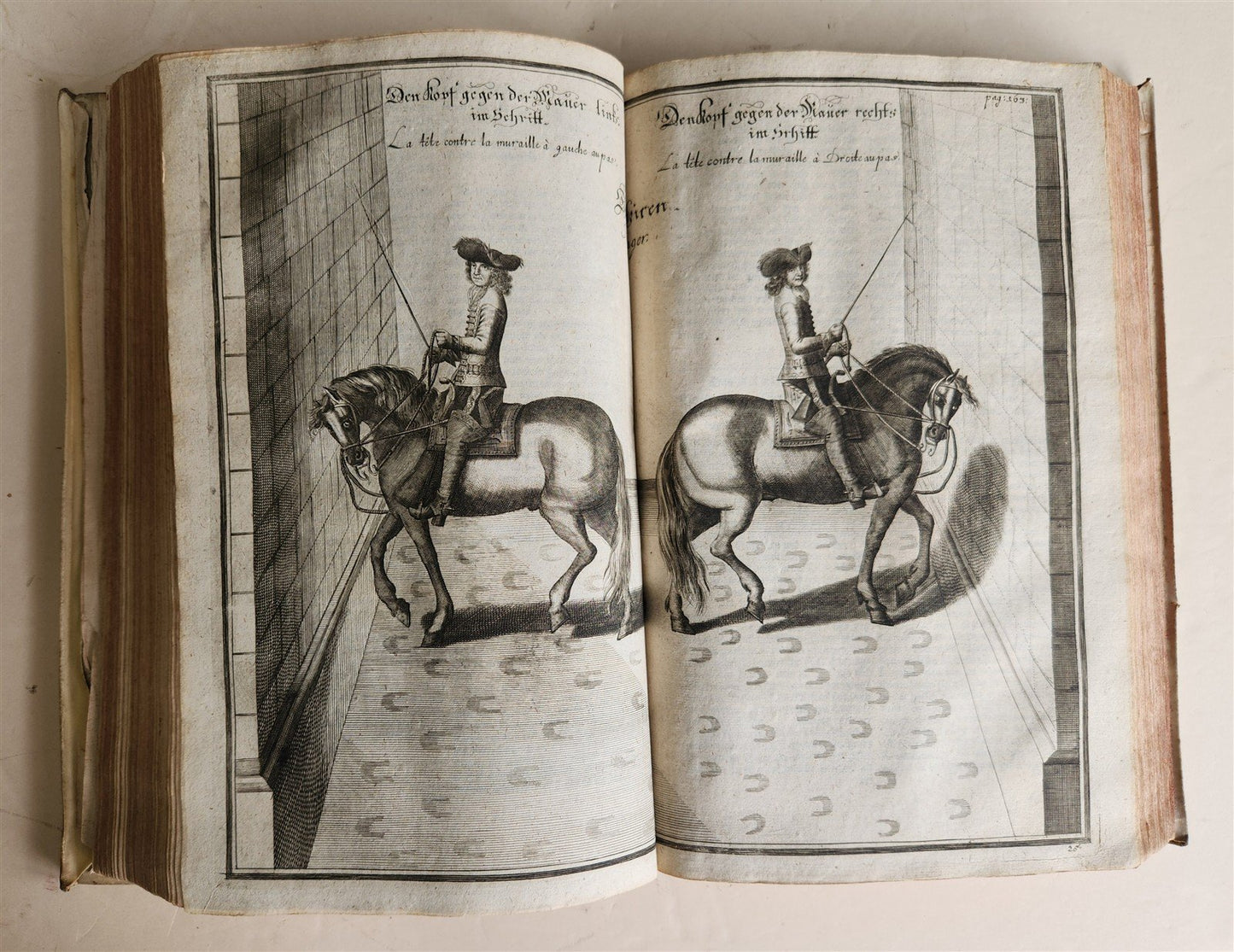 1700 HORSE BOOK FULLY ILLUSTRATED antique RIDING SCHOOL FOLIO