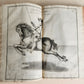 1700 HORSE BOOK FULLY ILLUSTRATED antique RIDING SCHOOL FOLIO