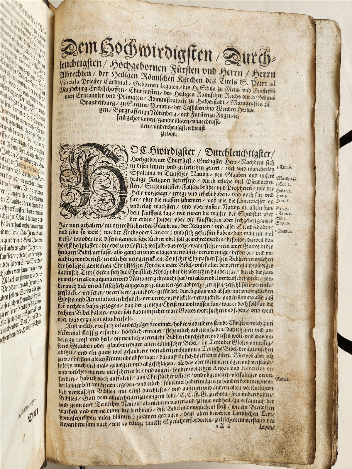 1597 BIBLE in GERMAN ILLUSTRATED by Bocksberger & J. Amman antique PIGSKIN FOLIO