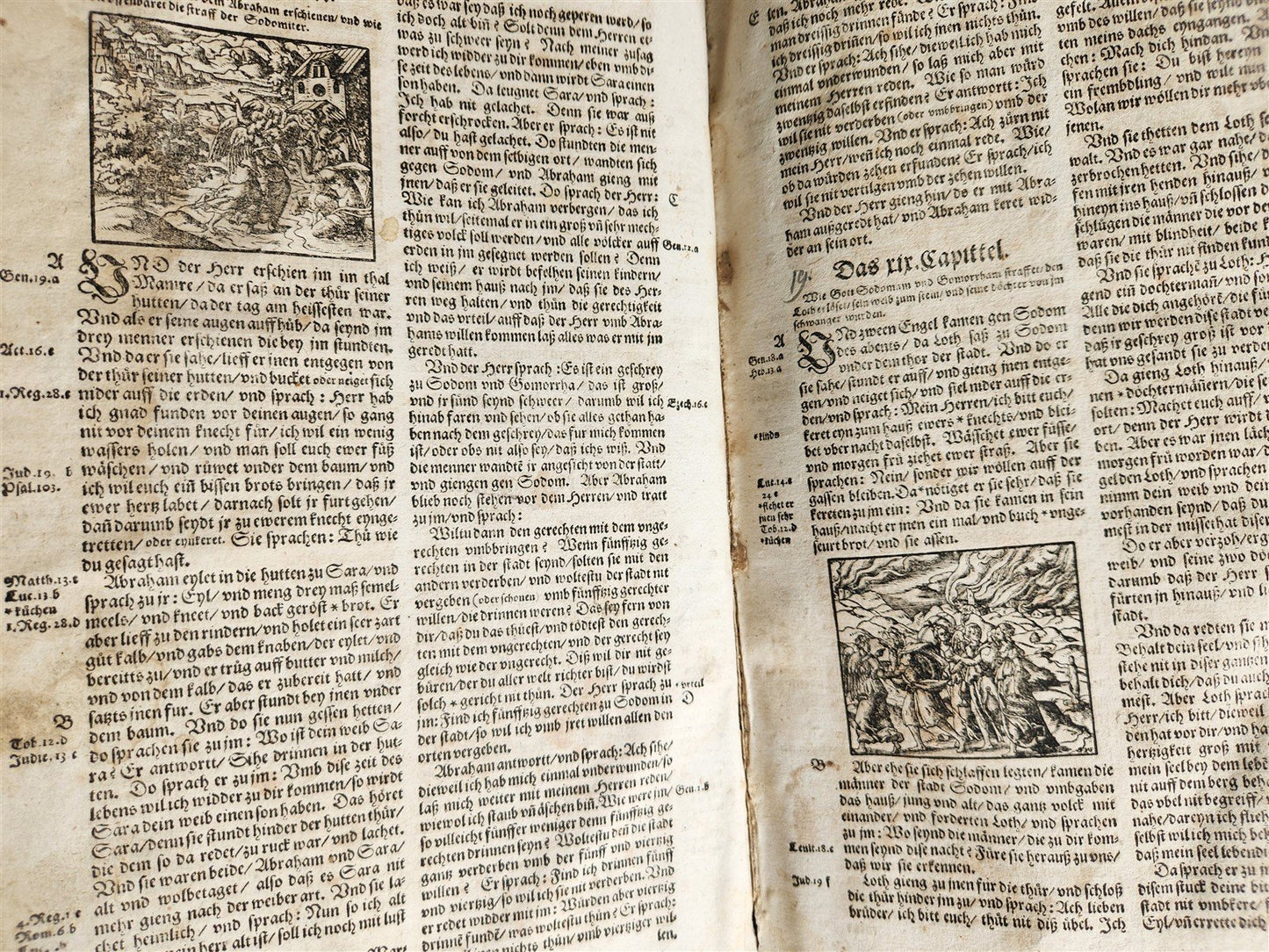 1597 BIBLE in GERMAN ILLUSTRATED by Bocksberger & J. Amman antique PIGSKIN FOLIO