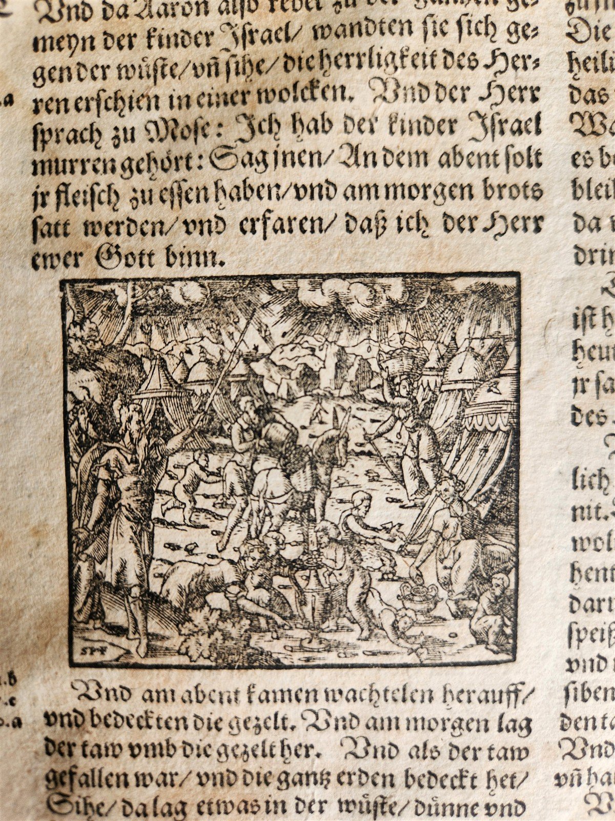 1597 BIBLE in GERMAN ILLUSTRATED by Bocksberger & J. Amman antique PIGSKIN FOLIO