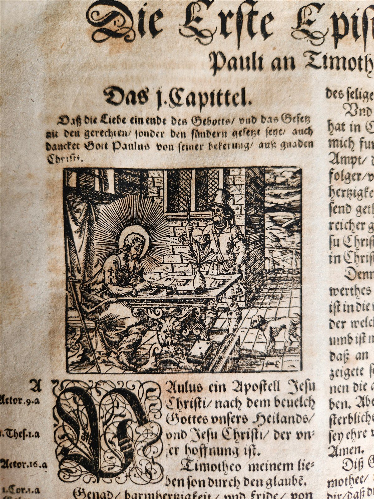 1597 BIBLE in GERMAN ILLUSTRATED by Bocksberger & J. Amman antique PIGSKIN FOLIO