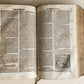 1597 BIBLE in GERMAN ILLUSTRATED by Bocksberger & J. Amman antique PIGSKIN FOLIO