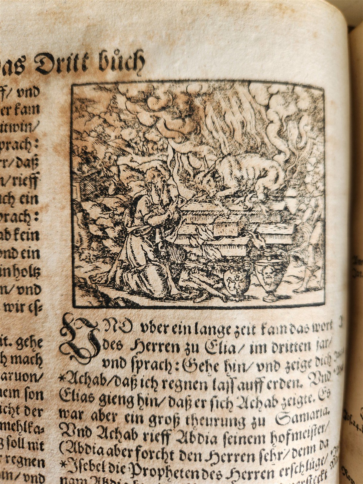 1597 BIBLE in GERMAN ILLUSTRATED by Bocksberger & J. Amman antique PIGSKIN FOLIO